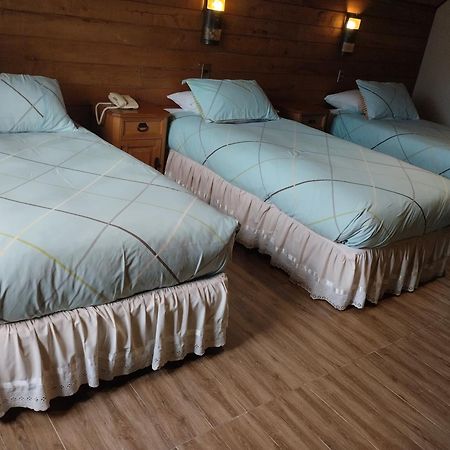 Hotel Malalhue 푸콘 외부 사진