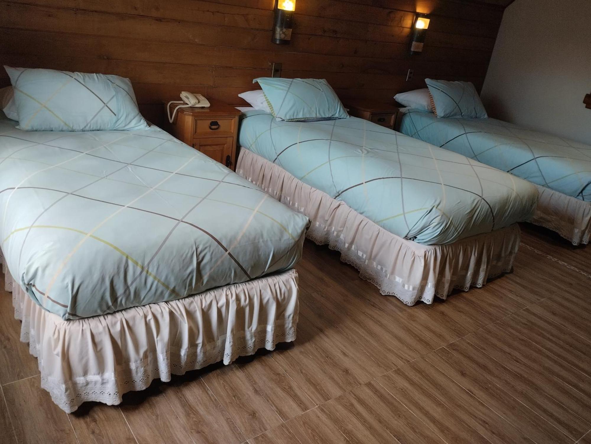 Hotel Malalhue 푸콘 외부 사진