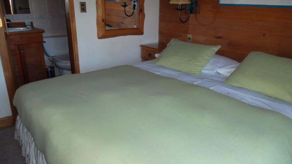 Hotel Malalhue 푸콘 외부 사진