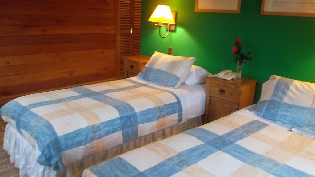 Hotel Malalhue 푸콘 외부 사진